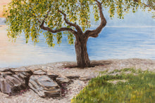 Lade das Bild in den Galerie-Viewer, steiniger Strand
