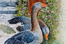 Lade das Bild in den Galerie-Viewer, Gänsepaar
