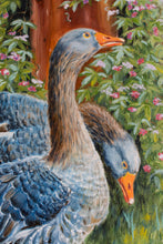 Lade das Bild in den Galerie-Viewer, Gänsepaar

