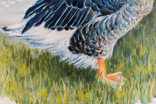 Lade das Bild in den Galerie-Viewer, Gänsepaar
