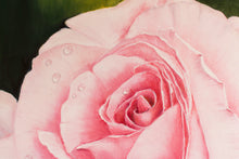 Lade das Bild in den Galerie-Viewer, weiche Rose

