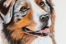 Lade das Bild in den Galerie-Viewer, Australian Shepherdn zum chinesischen Jahr des Hundes
